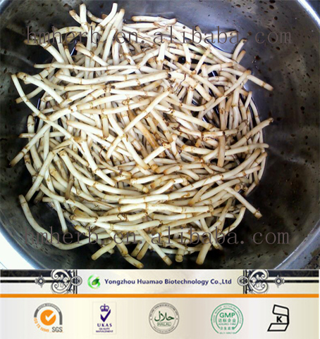 魚(yú)腥草粗提物